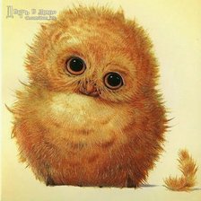 Схема вышивки «Совушка»