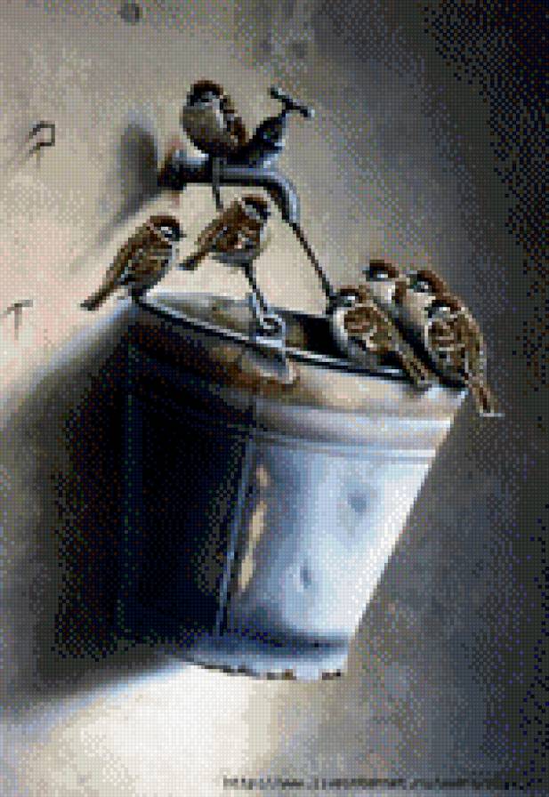 Воробьи - воробьи, птицы, ведро - предпросмотр