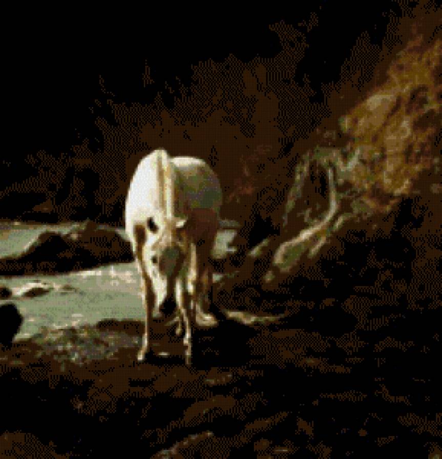 лошади - животние - предпросмотр