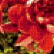 Предпросмотр схемы вышивки «дерево из роз» (№842016)