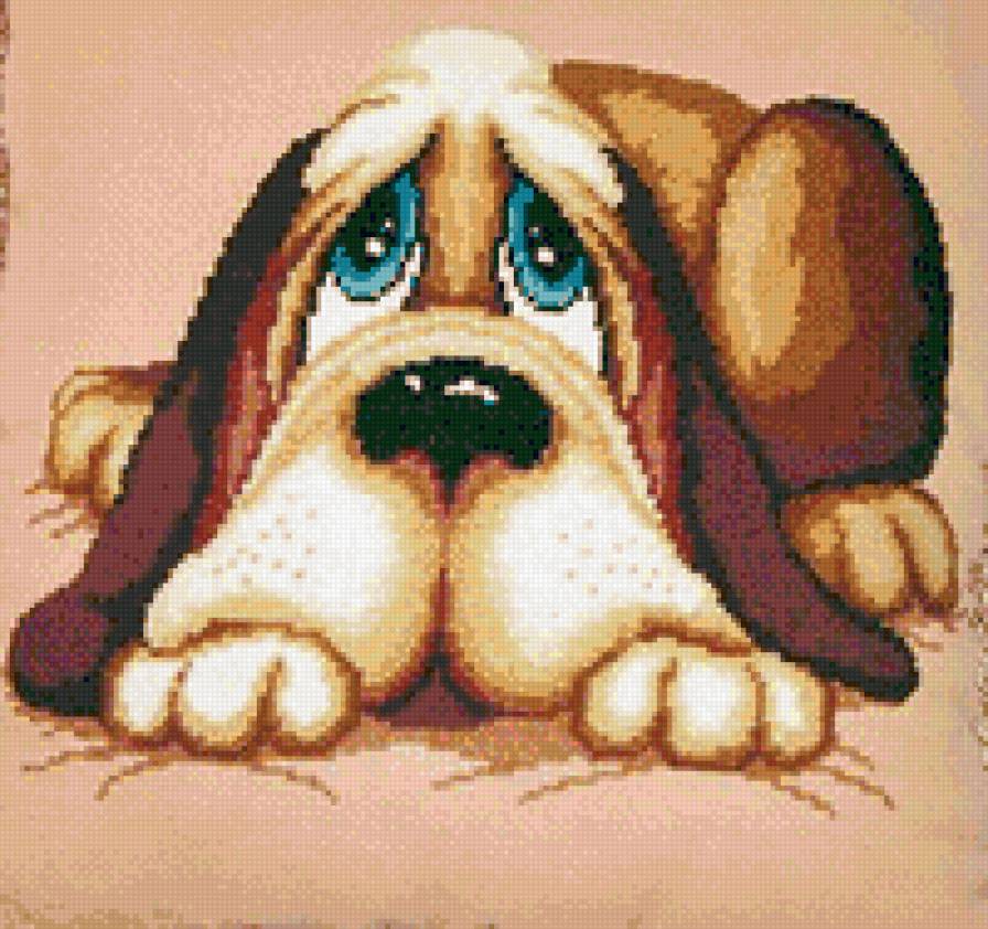 бася - собака - предпросмотр