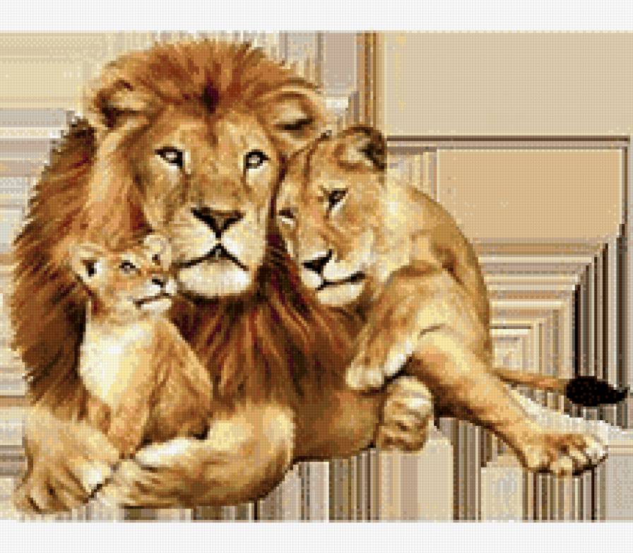 семья - львица, животные, львенок, лев - предпросмотр