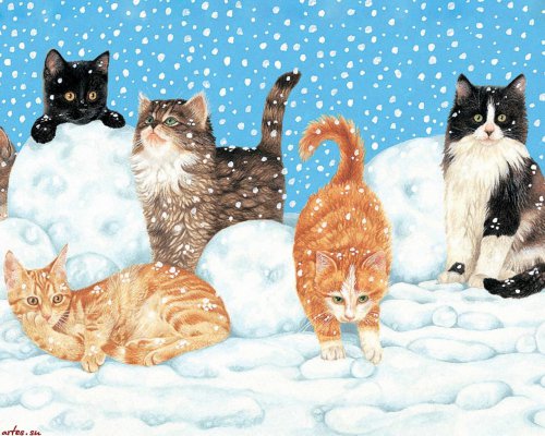 котики - животные, кошечки, кошка, коты, кот, зима, снег, кошки - оригинал