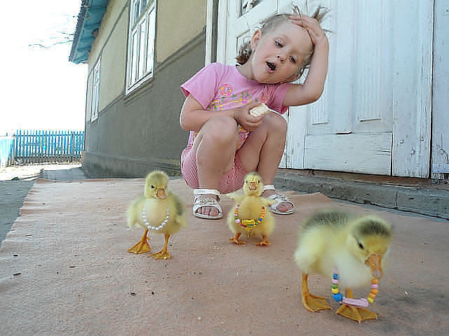 утики - девочка, ребенок, утята - оригинал