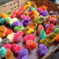 Схема вышивки «Цыплята»