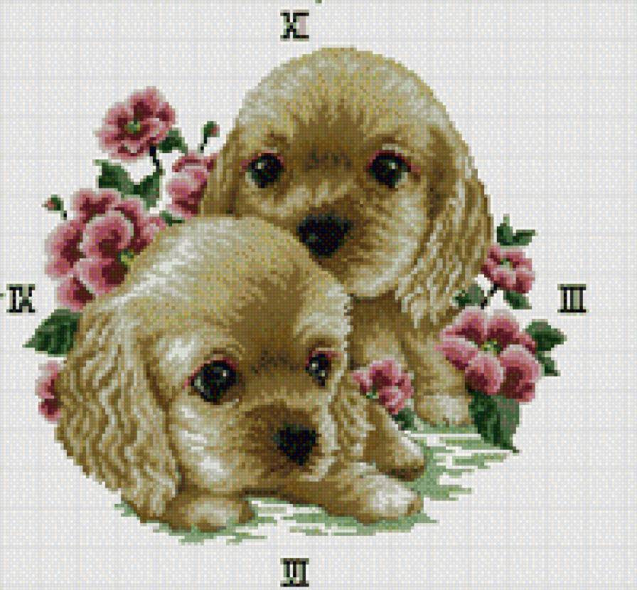 №842916 - предпросмотр