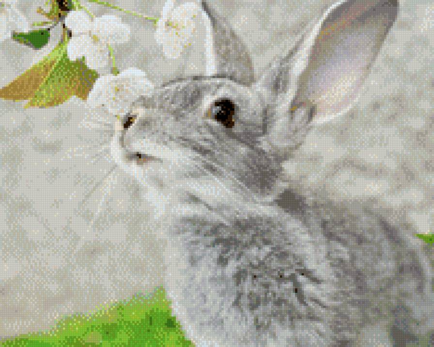 весна - весна, зайчик - предпросмотр