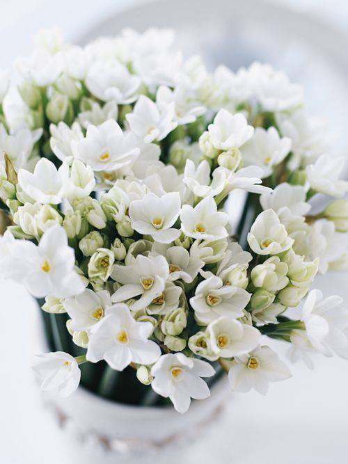 №843298 - оригинал