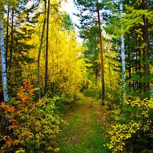 Схема вышивки «№843320»