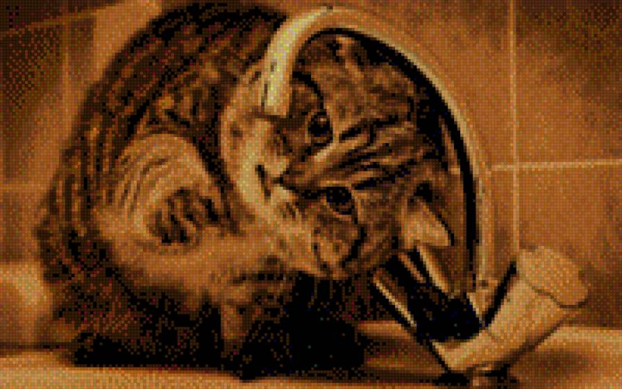 котик - котик - предпросмотр