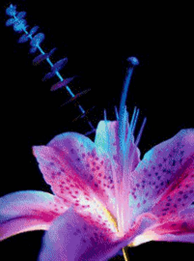 №843508 - предпросмотр