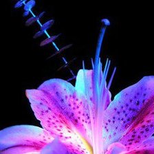 Схема вышивки «№843508»