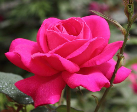 №843510 - оригинал