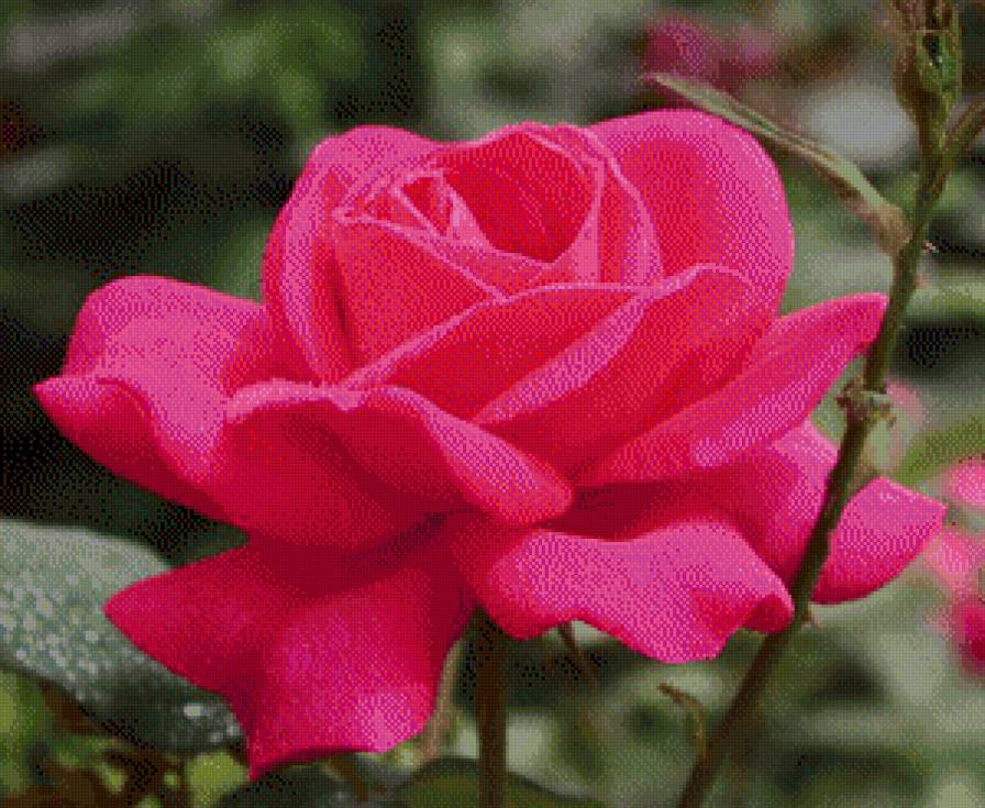 №843510 - предпросмотр