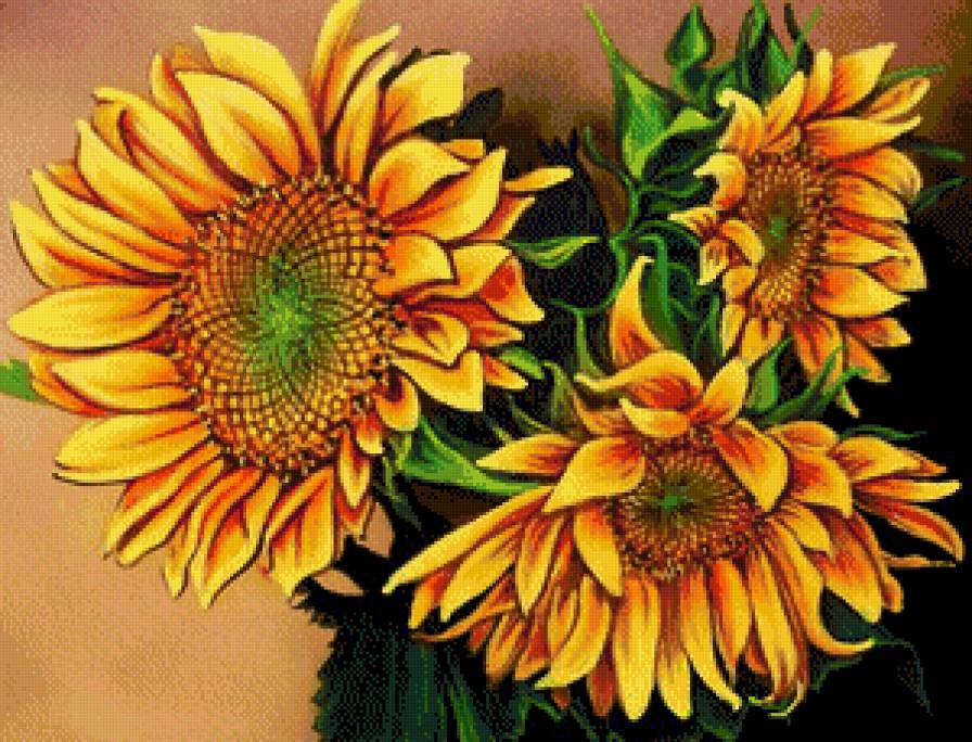 Подсолнухи - цветы, подсолнух, цветок, букет - предпросмотр