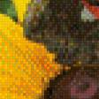 Предпросмотр схемы вышивки «цвети» (№843582)