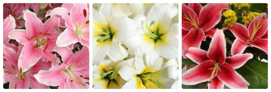 Триптих лилии - цветы - оригинал