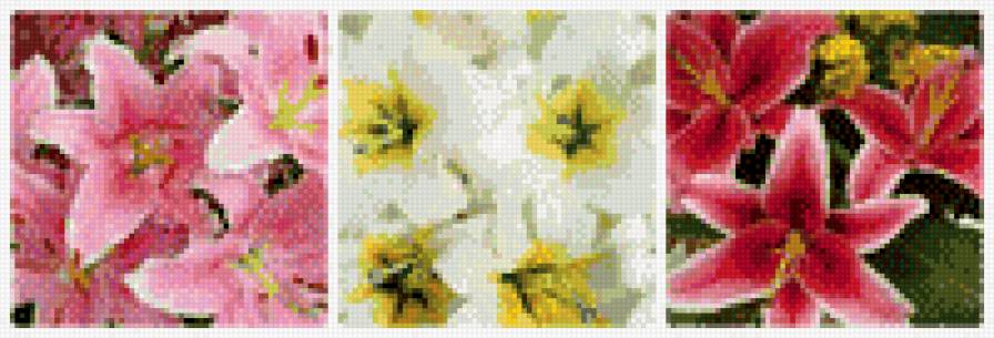 Триптих лилии - цветы - предпросмотр