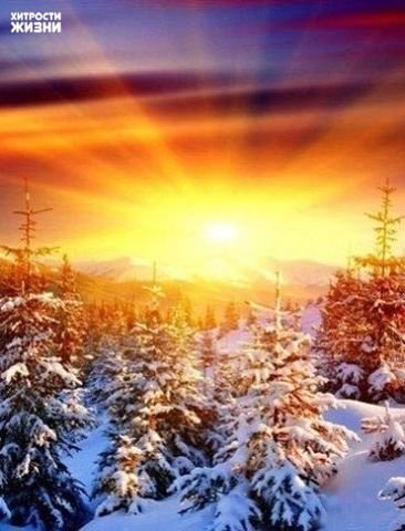 №843978 - снег, рассвет, солнце небо, закат, зима - оригинал