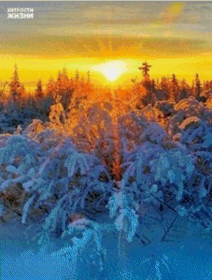 №843982 - зима, снег, солнце, закат - предпросмотр