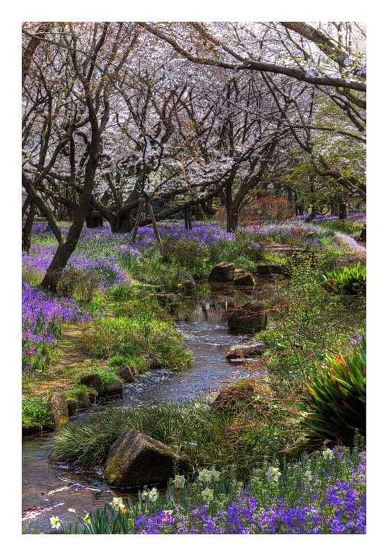 ручыек - природа - оригинал