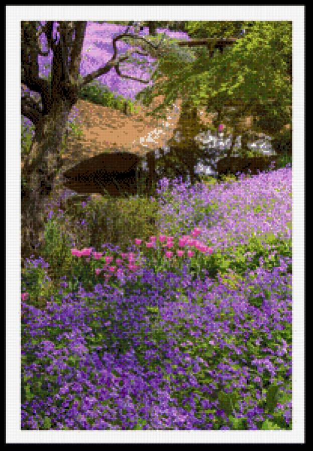 цветы - ростение - предпросмотр