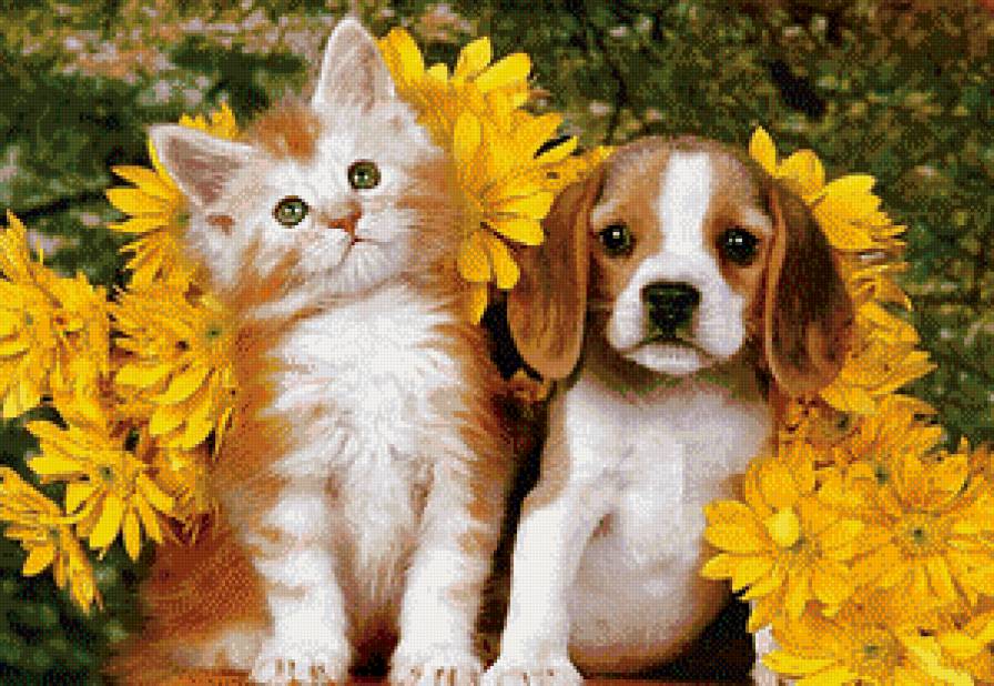 милашки - котята, кошки, животные, коты, котенок, песик, щенок, щенки, собаки - предпросмотр