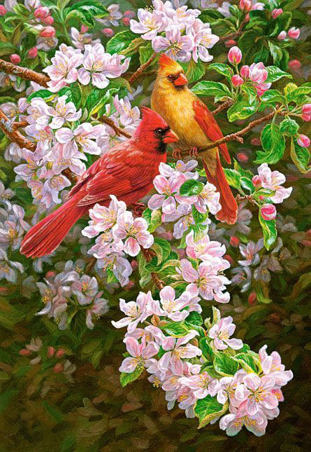 птички - птицы, природа, весна - оригинал