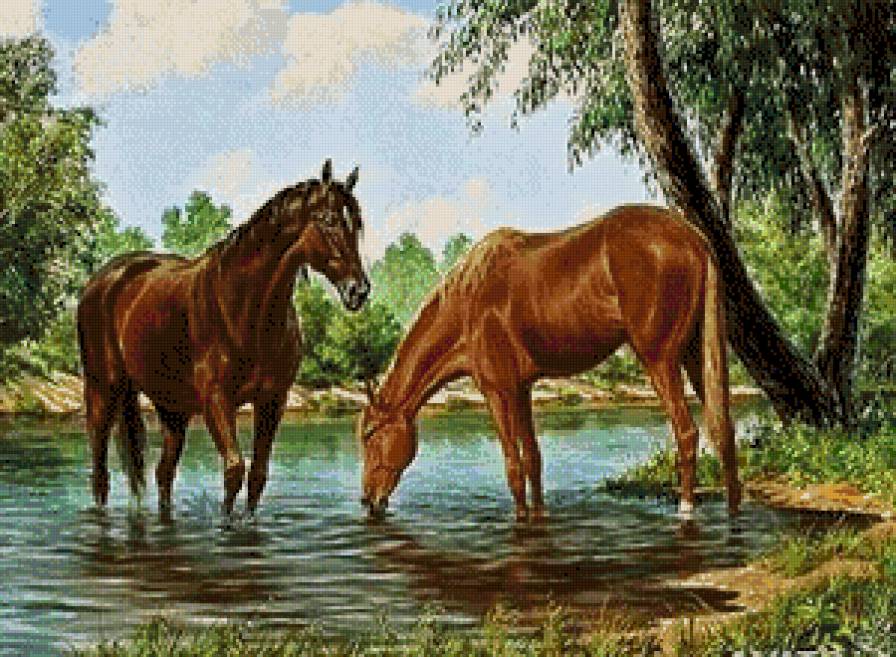 №844605 - предпросмотр