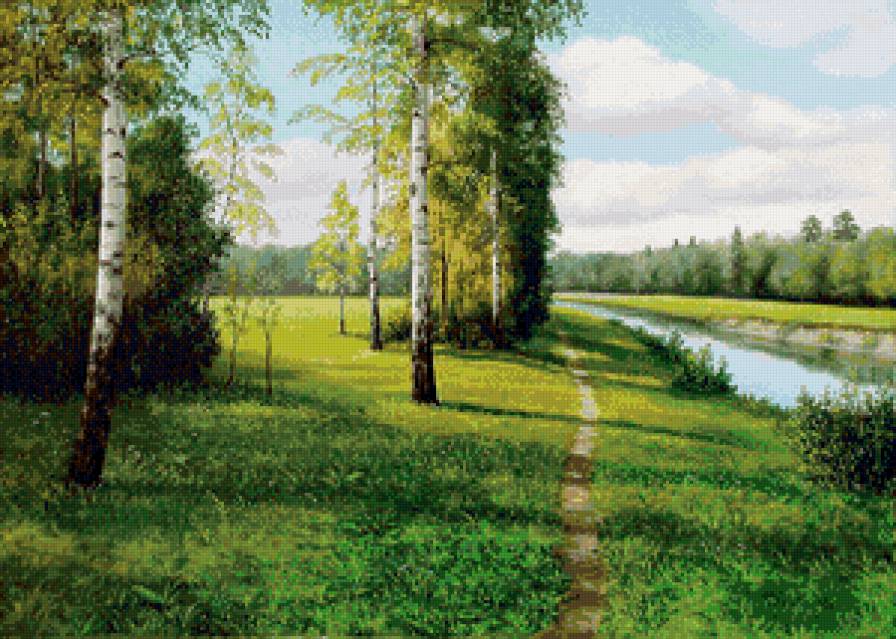 березы - природа. лето - предпросмотр