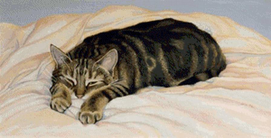 блаженство - коты, котики, кот - предпросмотр