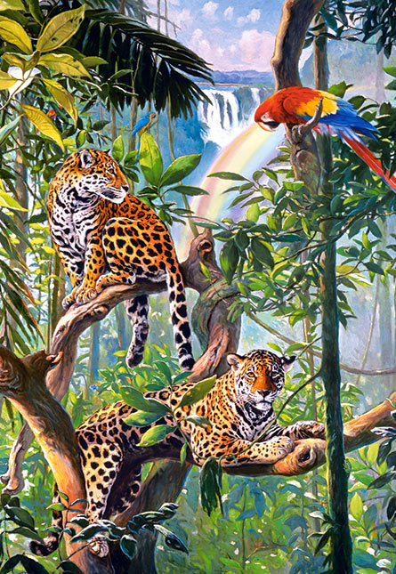 дикая природа - джунгли, животные, птицы, кошки, леопард, попугай, хищники, леопарды - оригинал