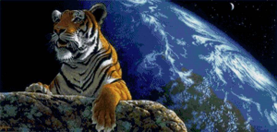 защитник - животные - предпросмотр