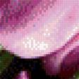 Предпросмотр схемы вышивки «тюльпаны» (№845184)