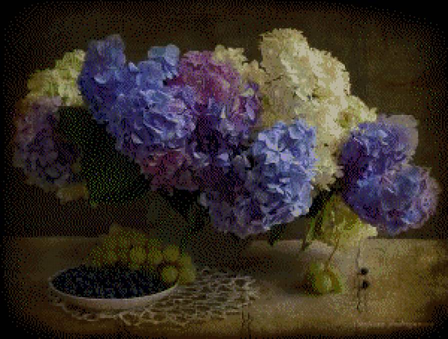 гортензия - предпросмотр