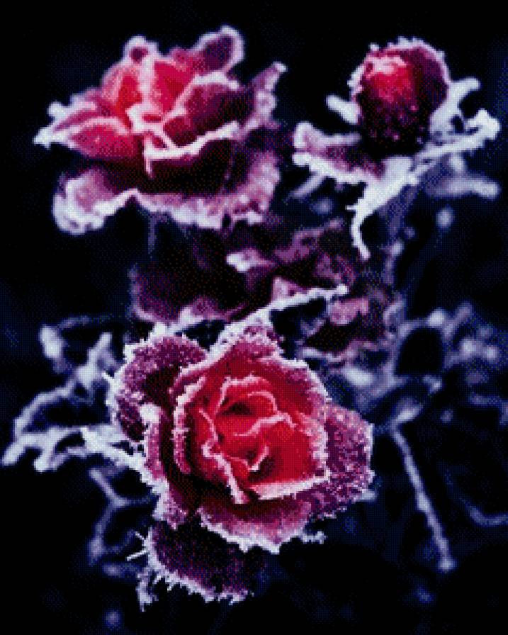 цветы - предпросмотр