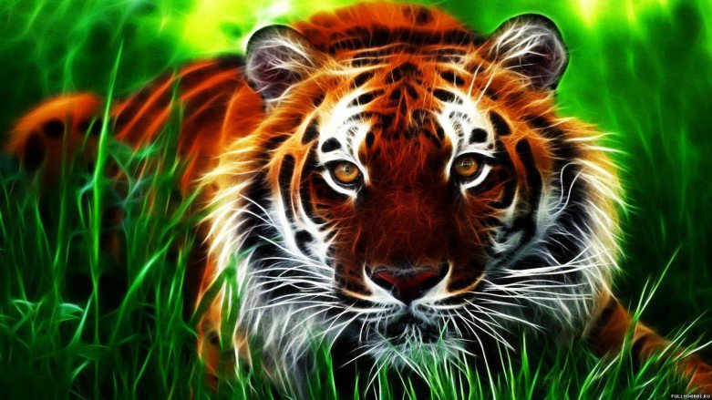 тигр в засаде - природа, кошачьи, охота, трава, тигр - оригинал