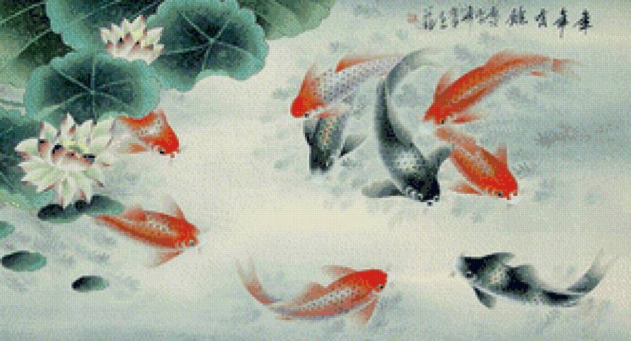 Карпы Кои - фэн-шуй, карпы - предпросмотр