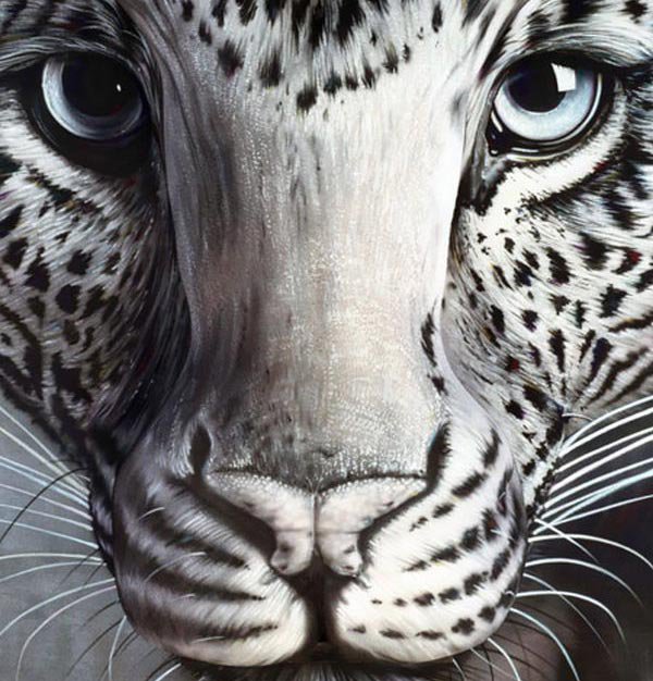 милые глазки - леопард, животные - оригинал