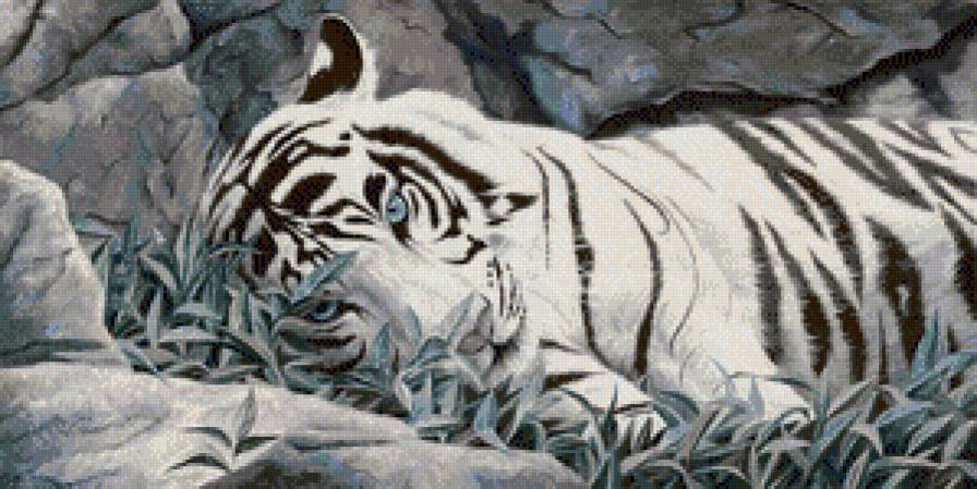 белый красавец - тигр, животные, большие кошки - предпросмотр