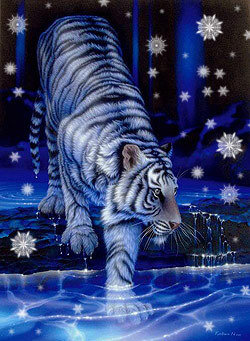 Тигр зимой - большие кошки, животные, тигр - оригинал
