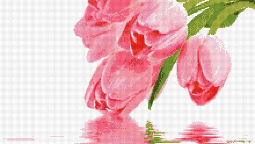 тюльпаны - предпросмотр