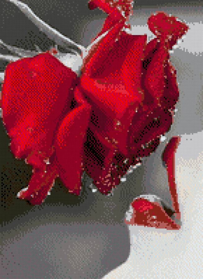 roza - предпросмотр