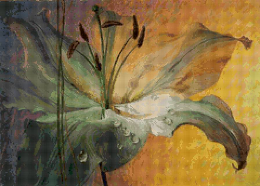 Лилия - лилия, природа, цветы - предпросмотр