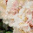 Предпросмотр схемы вышивки «белые пионы» (№845997)