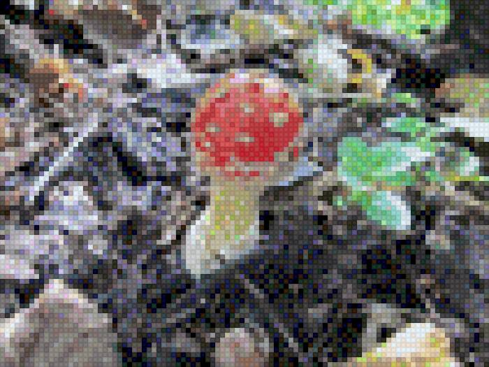 мухомор - мухомор, осенний лес, гриб - предпросмотр