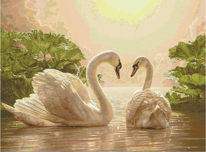 Лебёдушки - анималистика - оригинал