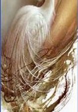 Схема вышивки «№846379»