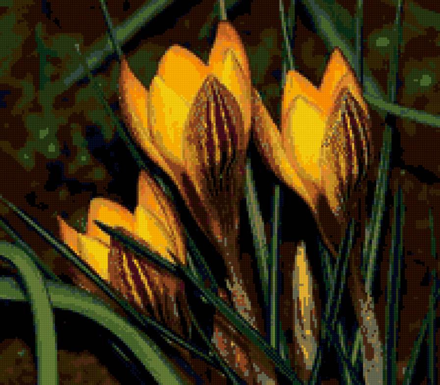 ц - предпросмотр