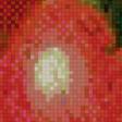 Предпросмотр схемы вышивки «яблоки» (№846402)
